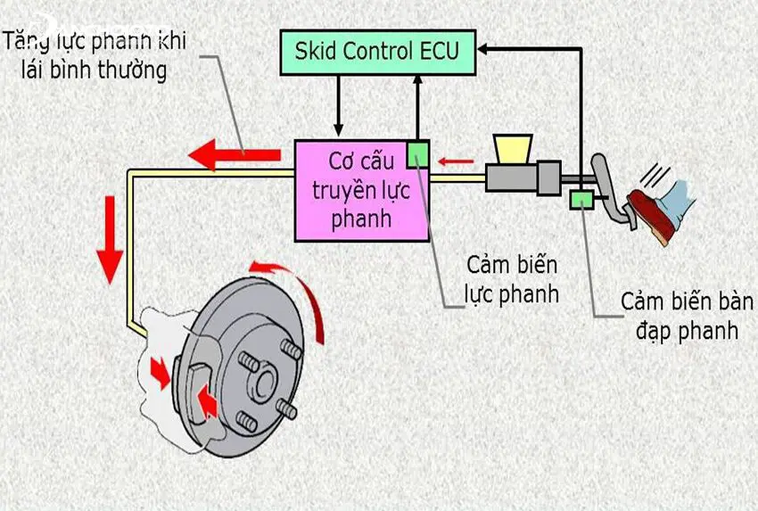 Cấu tạo hệ thống phanh BA